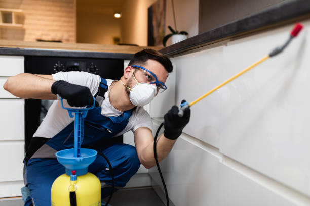 Best Ant Control Services  in Spring, TX