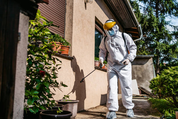 Wildlife Control Services in Spring, TX