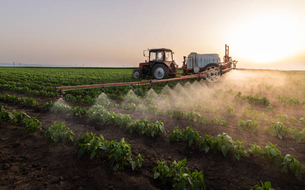 Best Mosquito Control Services  in Spring, TX