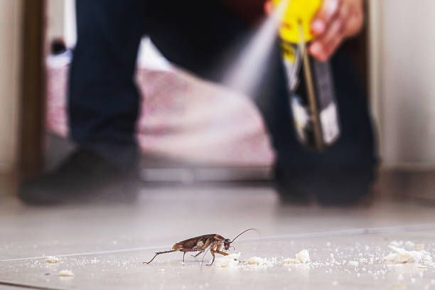 Best Pest Removal Services  in Spring, TX