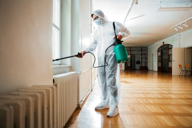 Best Pest Control Near Me in Spring, TX